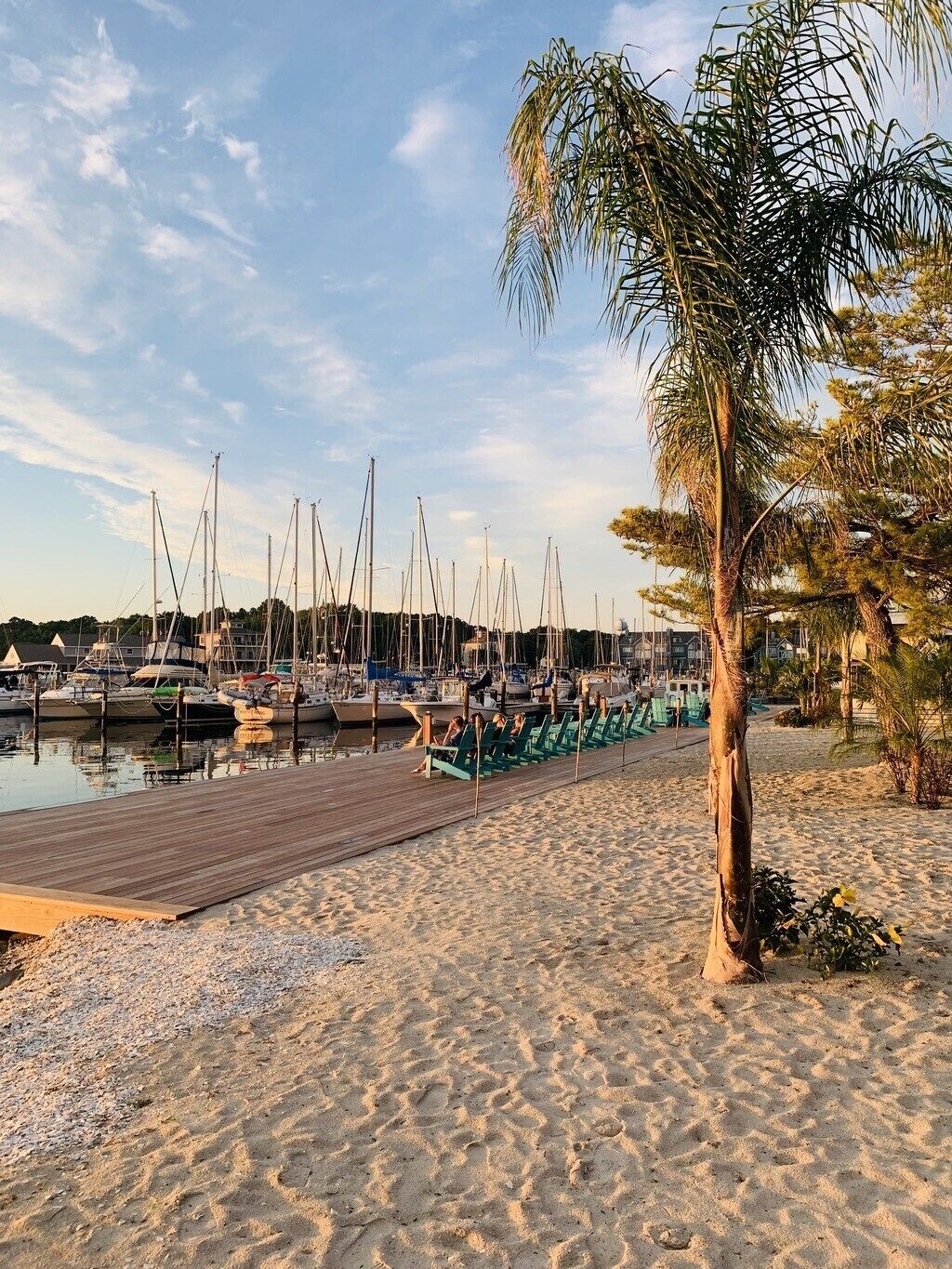 Port de plaisance