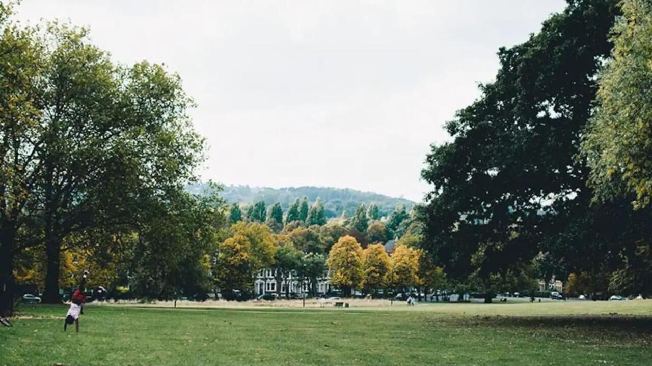 A park with a grassy field, trees, and a building in the background.