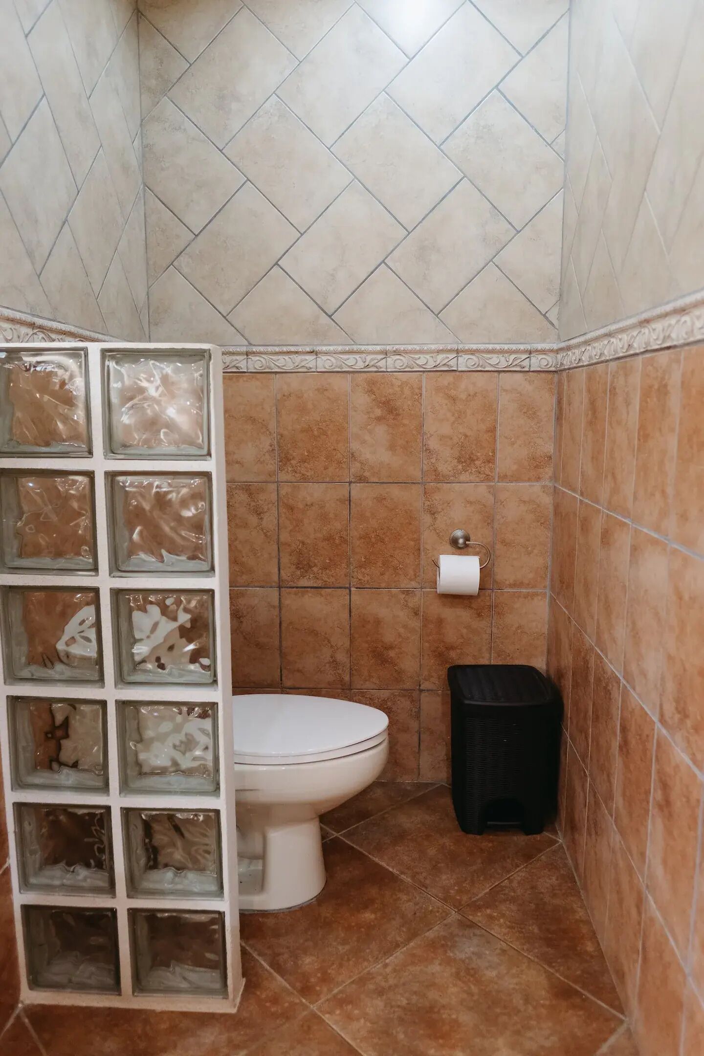 Un bagno con il water, un cestino e una mensola divisoria in vetro.
