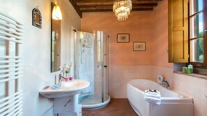 Shower, hair dryer, bidet, towels