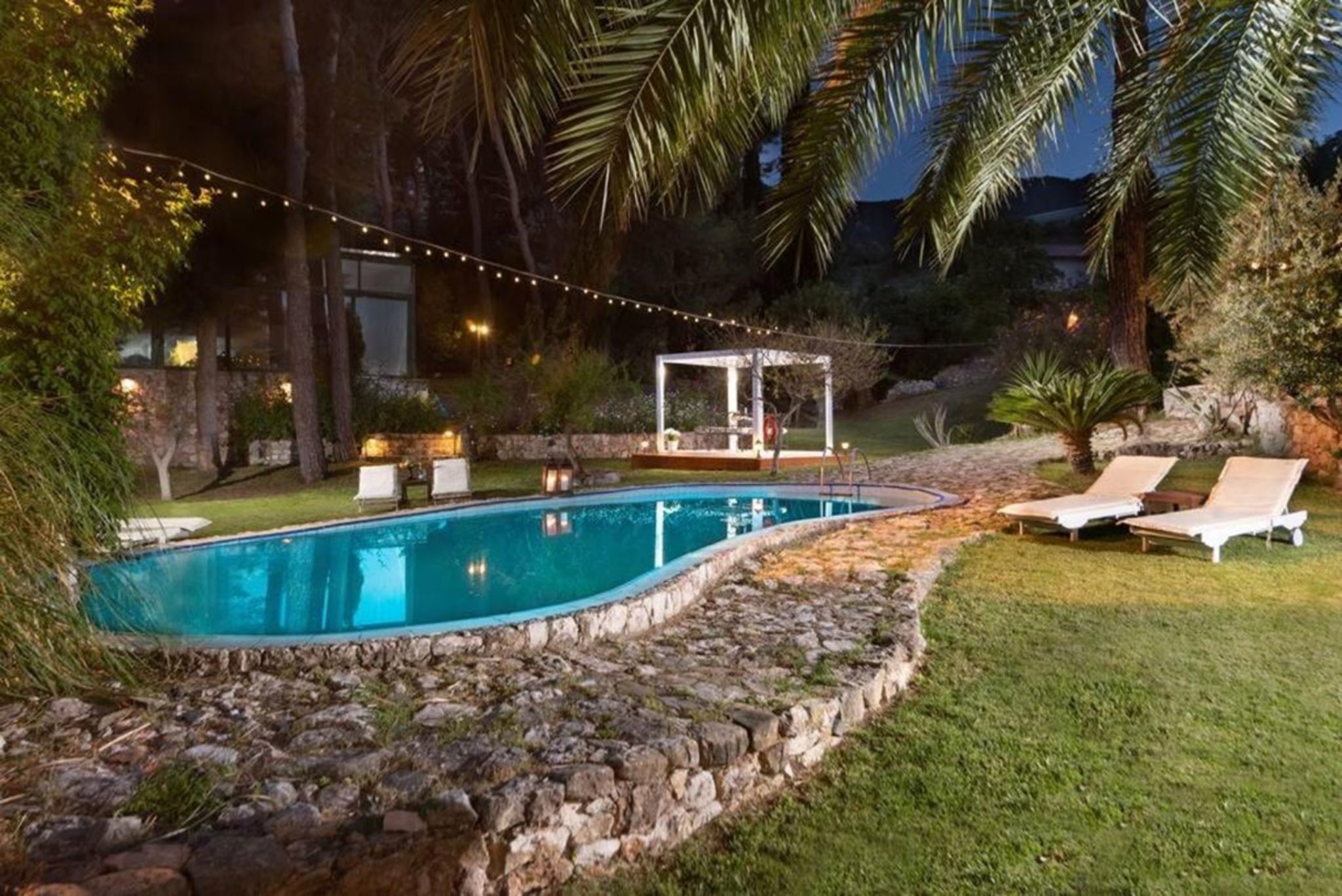 Une piscine bordée de pierres, entourée d’une pelouse et de palmiers.