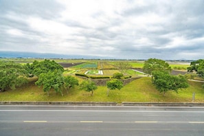 Paisagem rural com campos, árvores e uma estrada.