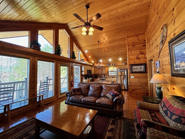 TV, fireplace, DVD player - A Rockytop RendezVIEW (Townsend)