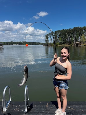 Miscellaneous - FamiLee Lakehouse Retreat 
FISHING & FUN!
DogFriendly w-HotTub & BoatDock  (Sparta)