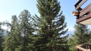 A wooden deck with a birdhouse and a view of tall evergreen trees. - 10m from ski slopes, 2nd floor, view mountain, balcony, 28m², Les Orres (Les Orres)