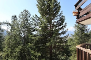 Eine Holzterrasse mit einem Vogelhaus und Blick auf hohe Nadelbäume.
