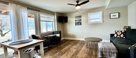 Smart TV, fireplace, books