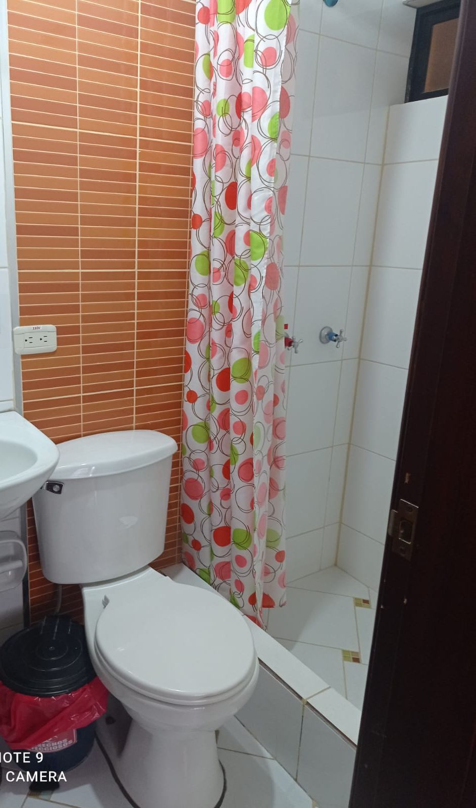 A bathroom with a toilet, sink, and shower area.