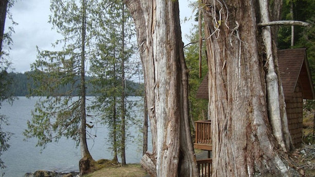 Une cabane au bord d’un lac, dotée d’une terrasse en bois et offrant une vue sur l’eau.