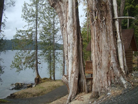 Property grounds. Nestled At the Top of famous Totem pole Parks
Enjoyable, comfortable house