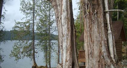 Nestled At the Top of two famous Totem pole Parks
Enjoyable, comfortable house