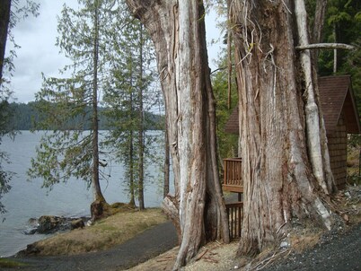 Nestled At the Top of famous Totem pole Parks
Enjoyable, comfortable house