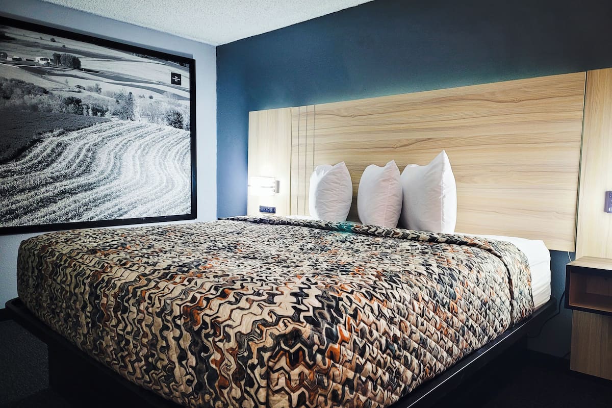 Une chambre d’hôtel avec un grand lit, une tête de lit ornée de trois coussins, un téléviseur fixé au mur qui diffuse un paysage enneigé, et une table de chevet en bois avec une lampe.