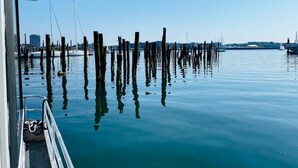 A calm waterfront with wooden pilings and a clear blue sky. - Endless Summer: Oceanside Views (Boston)