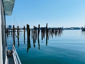 A calm waterfront with wooden pilings and a clear blue sky. - Endless Summer: Oceanside Views (Boston)