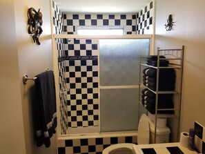 Douche, serviettes fournies