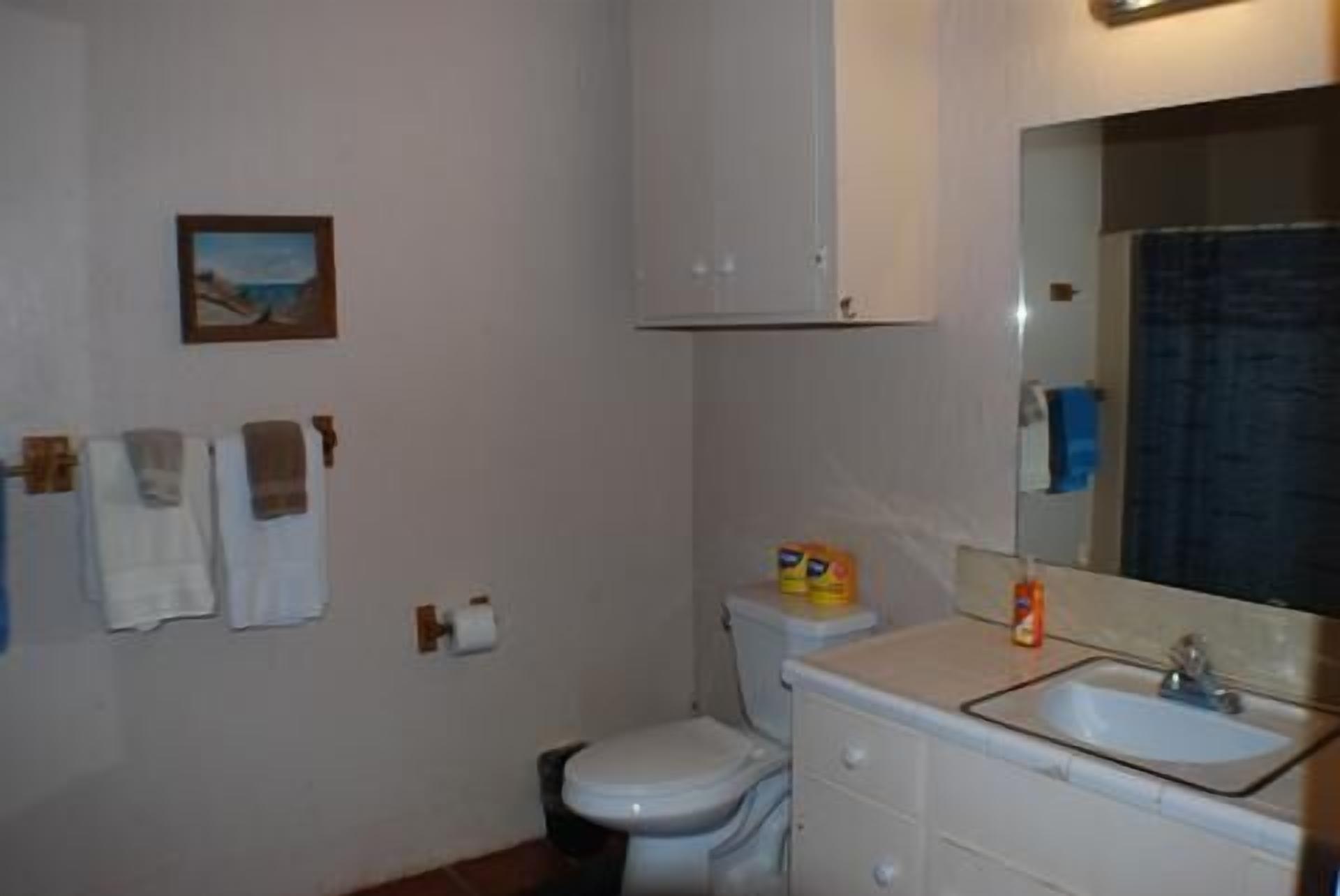 Shower, towels