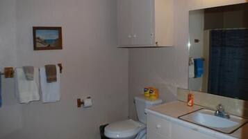 Shower, towels