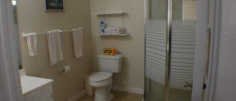 Un baño con inodoro, ducha con puerta de cristal, lavabo y toallero.