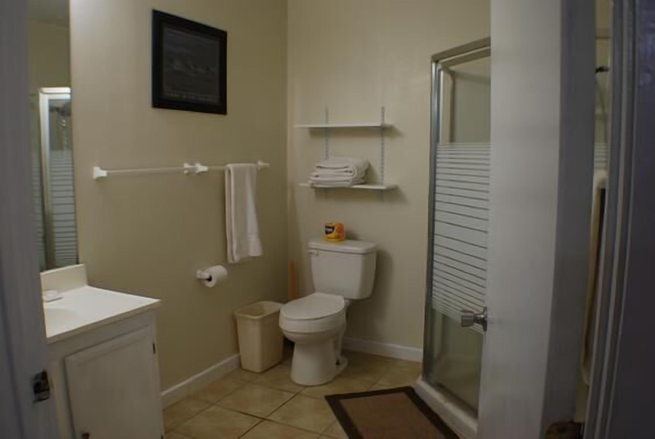 A bathroom with a toilet, sink, and a shower area.