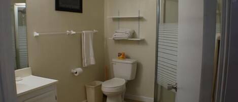 A bathroom with a toilet, sink, and a shower area.