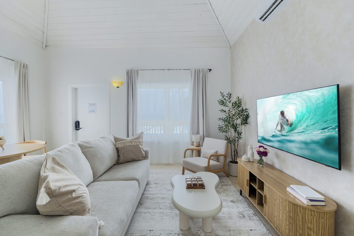 A modern living room with a sofa, coffee table, TV, and a plant.
