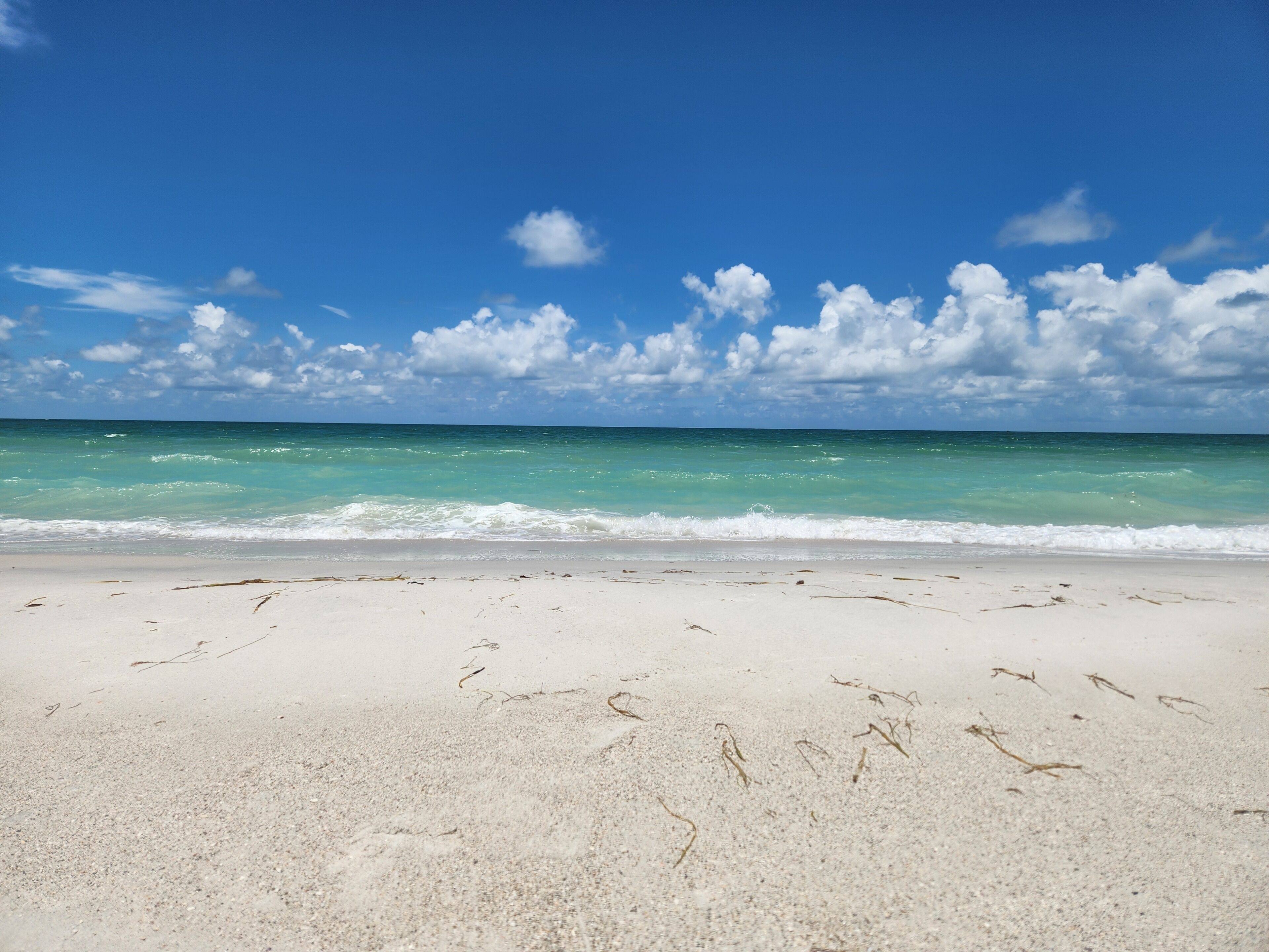 Plage à proximité, chaises longues, serviettes de plage