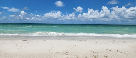 Plage à proximité, chaises longues, serviettes de plage