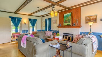 TV, fireplace, video games, books