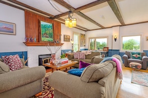 Smart TV, fireplace, books