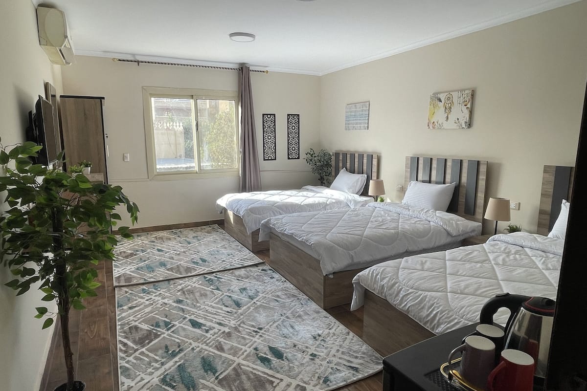 A hotel room with two beds, a potted plant, a coffee maker, and a view of the outside.