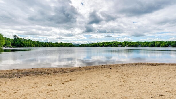 Ampia spiaggia sabbiosa con un lago calmo e alberi verdi e fitti sullo sfondo.