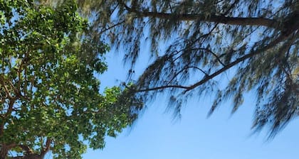 Cozy home 5 minutes to beach Fajardo is a hidden gen of Puerto Rico