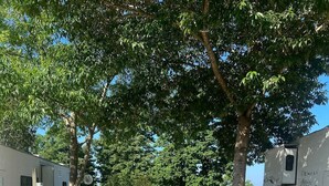 A gravel parking area with RVs and a car, surrounded by trees and a fence. - Sunset View RV Spot 30 AMP (Vicksburg)