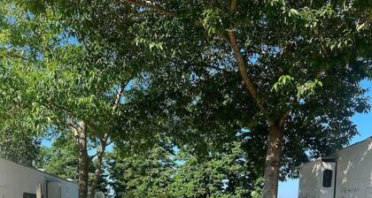 Sunset View RV Spot 30 AMP