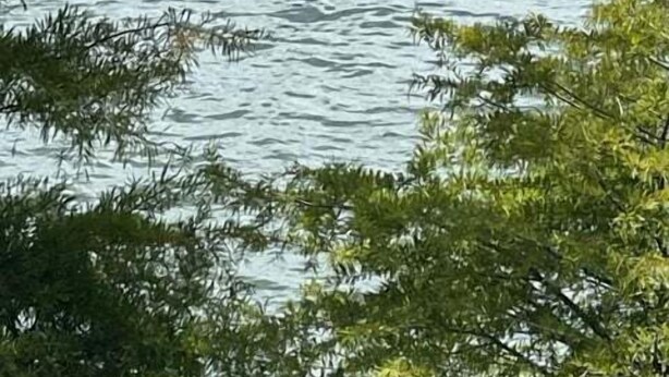 A person paddling a small boat on a body of water surrounded by trees. - Sunset View RV Spot 30 AMP (Vicksburg)