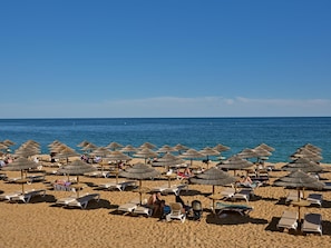 A beach with rows of sun loungers and thatched umbrellas.