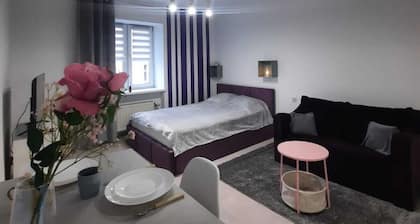 Cozy studio near city centre