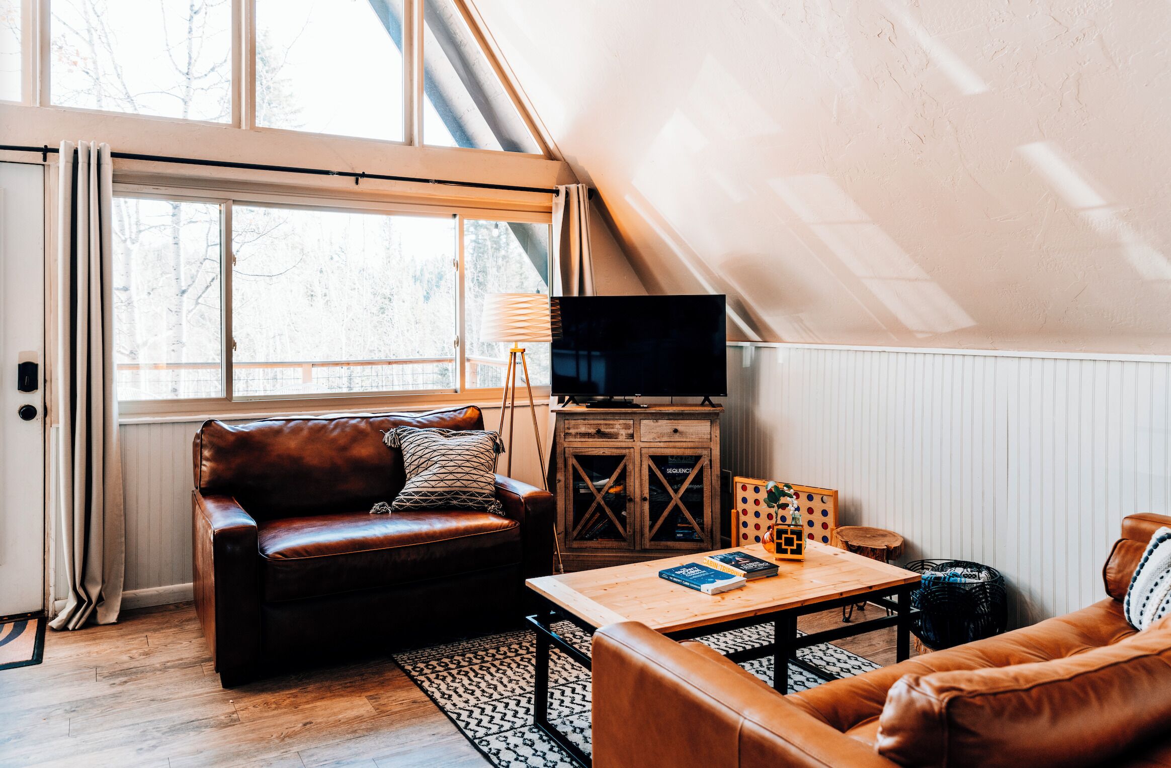 Smart TV, fireplace, DVD player, books