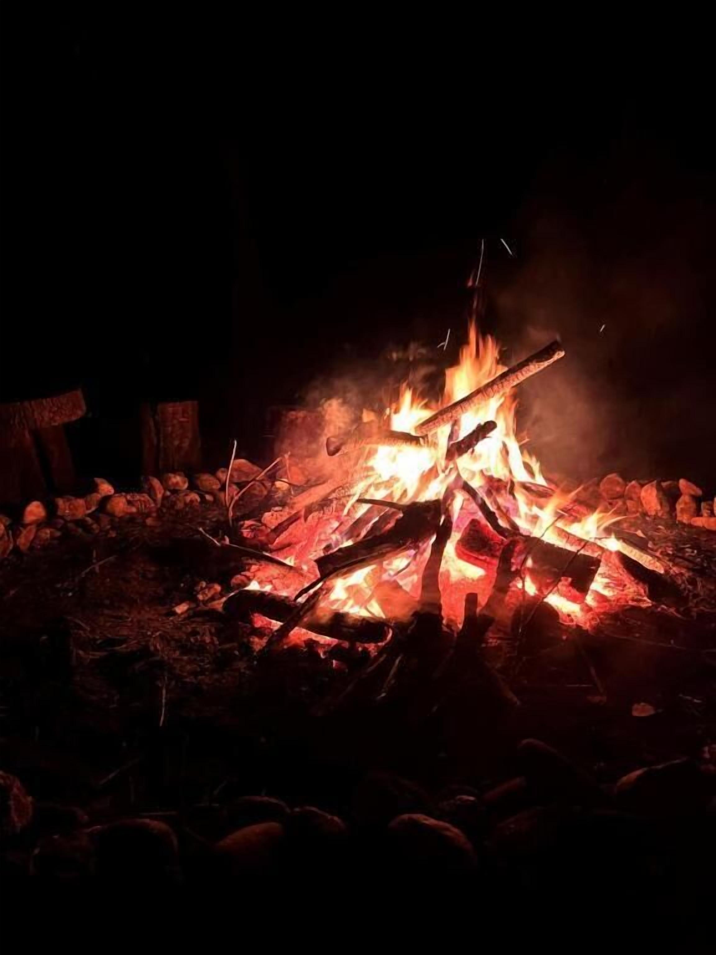 A campfire with logs and embers, surrounded by rocks and logs, indicating a rustic outdoor setting.