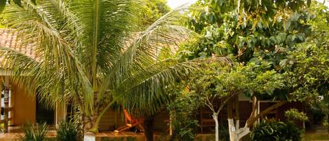 Televisión de pantalla plana