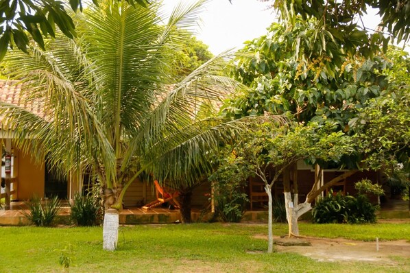 Televisión de pantalla plana