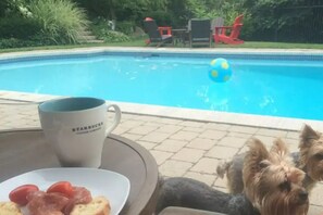 A poolside setting with a table, a Starbucks mug, and a dog.