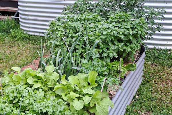 Overnatningsstedets område