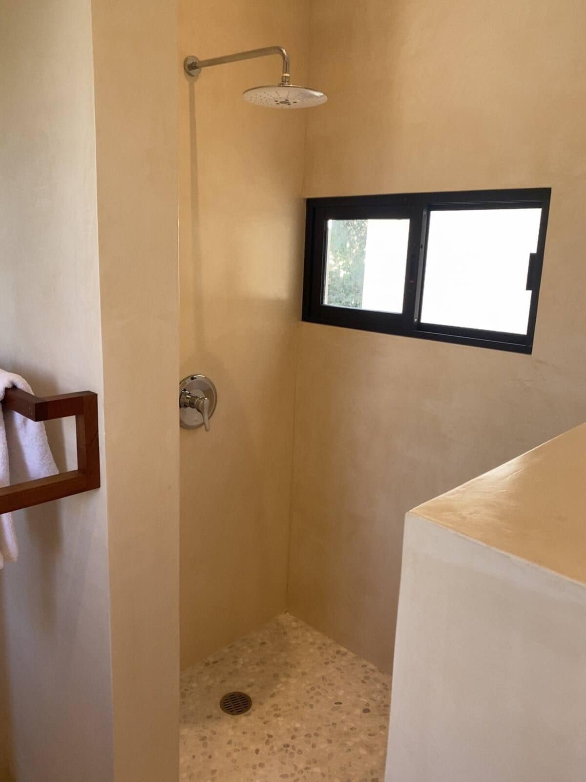 A small, enclosed shower area with a window, a towel rack, and a showerhead.