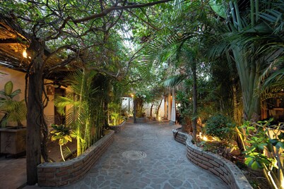 Standard room. Luxury and confort on the malecon