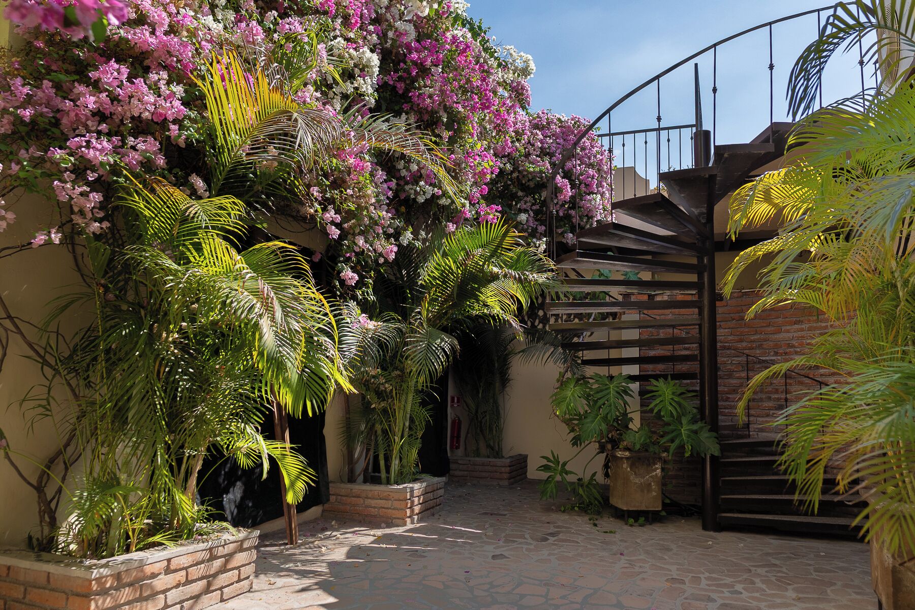 A courtyard with a brick pathway, potted plants, and a metal staircase.