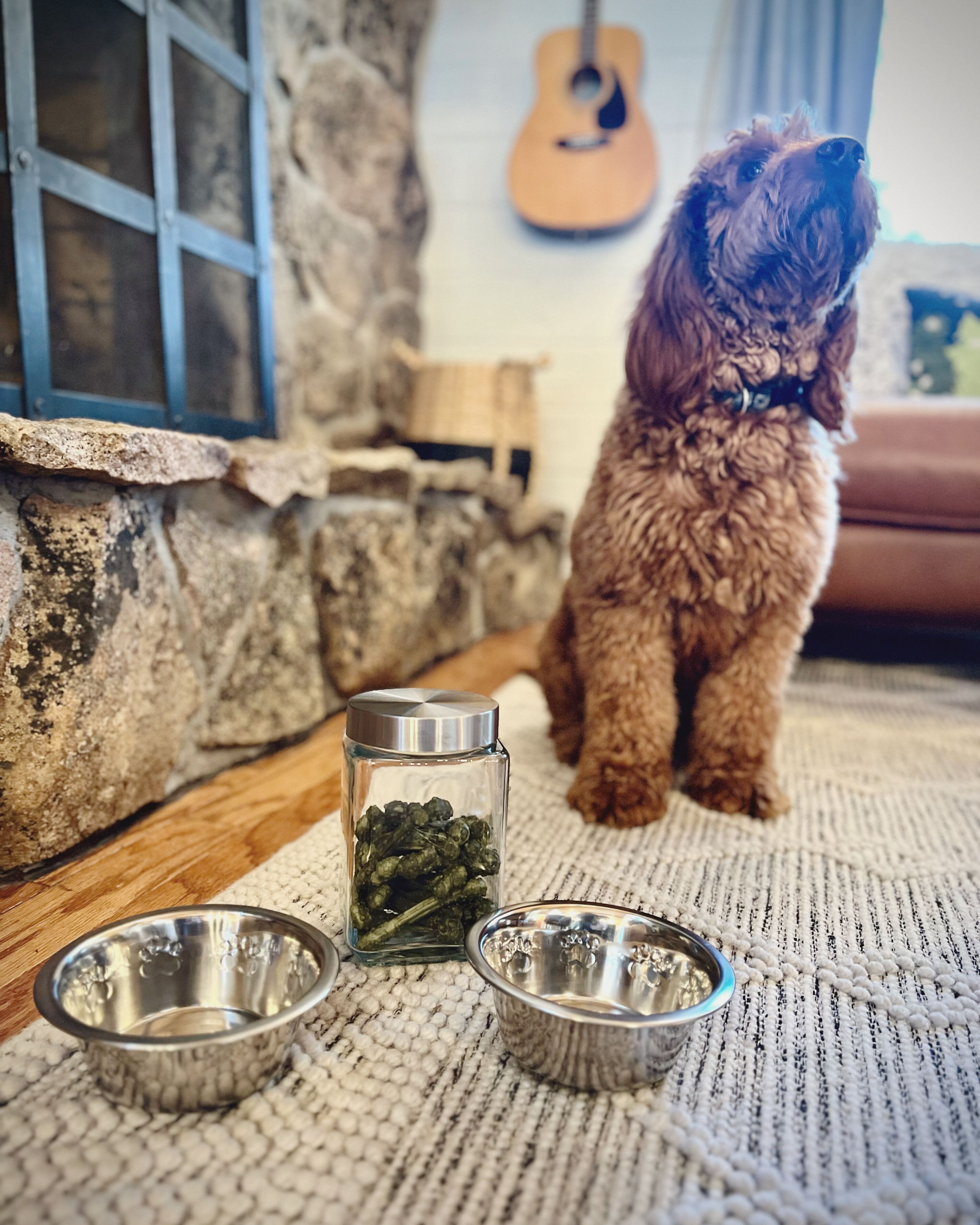 Furry friends welcome! 2 dogs under 50lbs allowed
