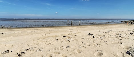 Playa en los alrededores y pesca