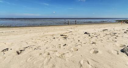 3 bedroom lovely home in Lauwersoog